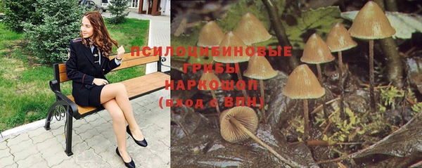 a pvp Верея