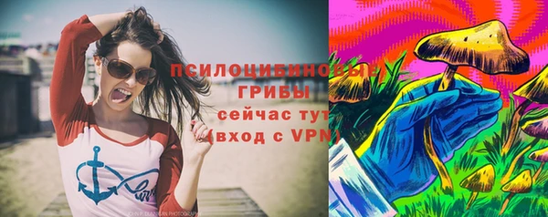 мдпв Богородицк
