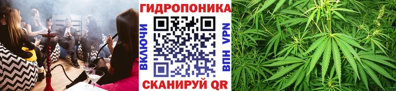 Конопля SATIVA & INDICA  купить наркотики сайты  Нижний Новгород 